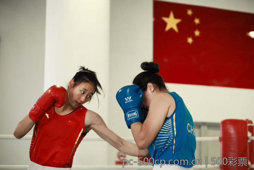 揭秘大发彩票下载中的算法与策略